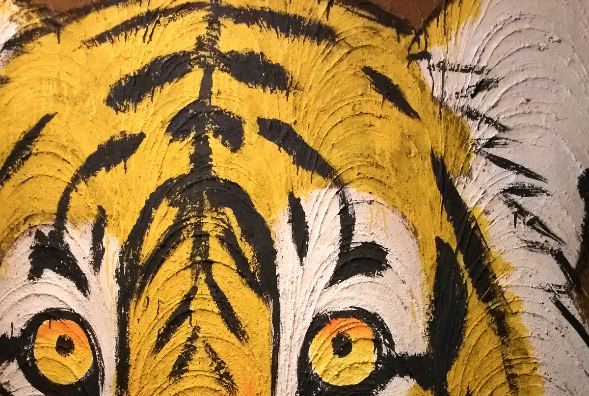 Indian Tiger painted on streets